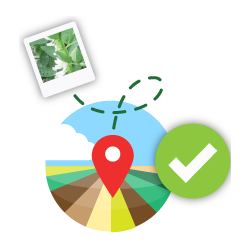 Improve the quality of collected data with validation, GPS and photos