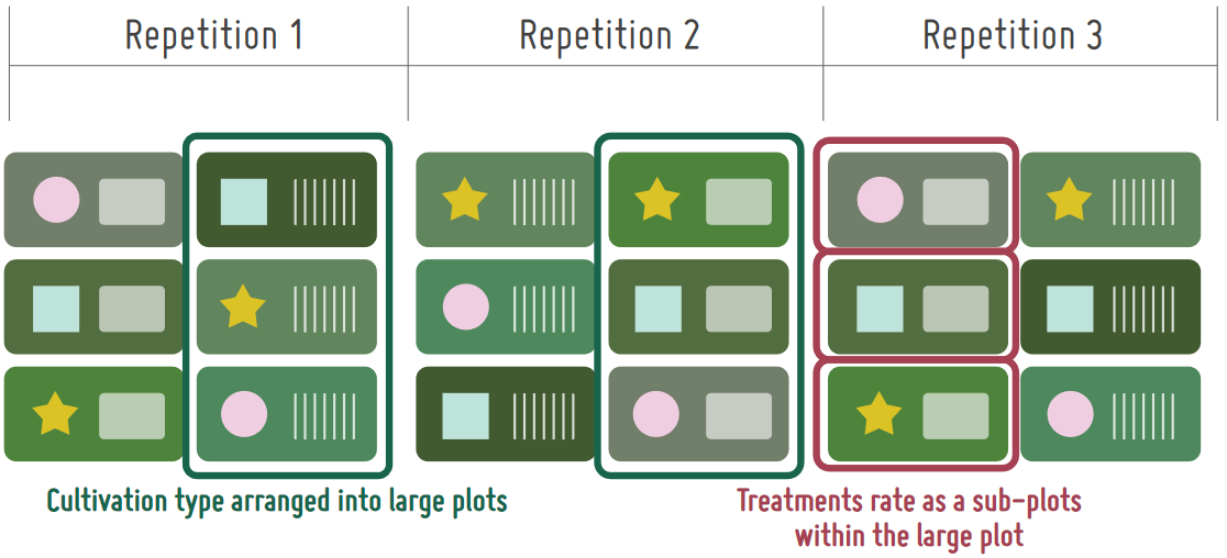 Split plot design example