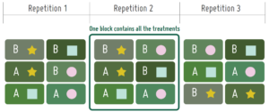 Randomised complete block design example