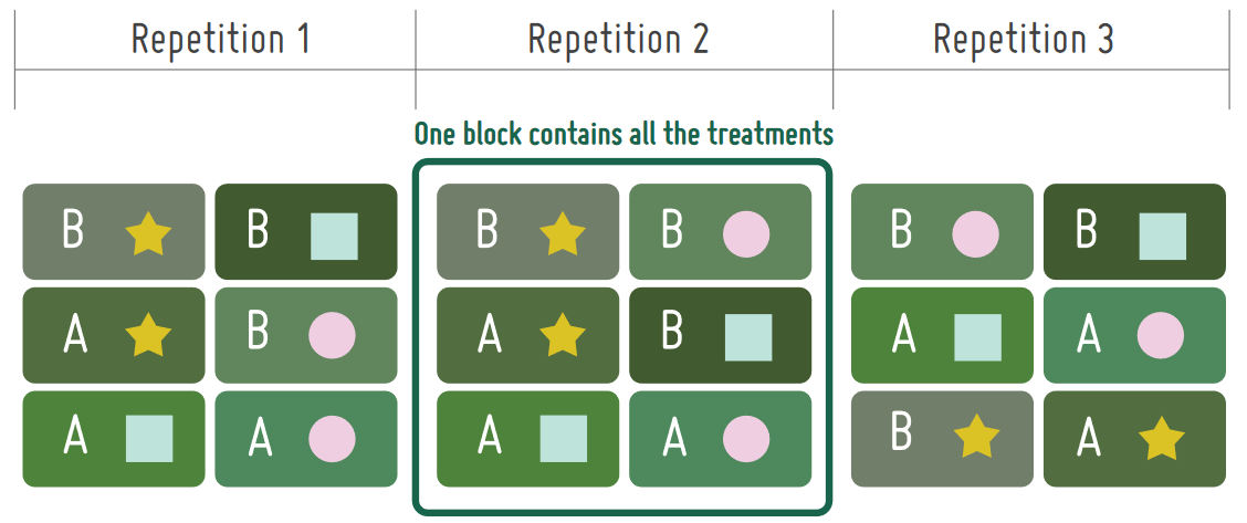 one block contains all the treatments