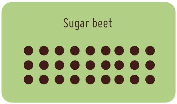 Sugar beet plot size example